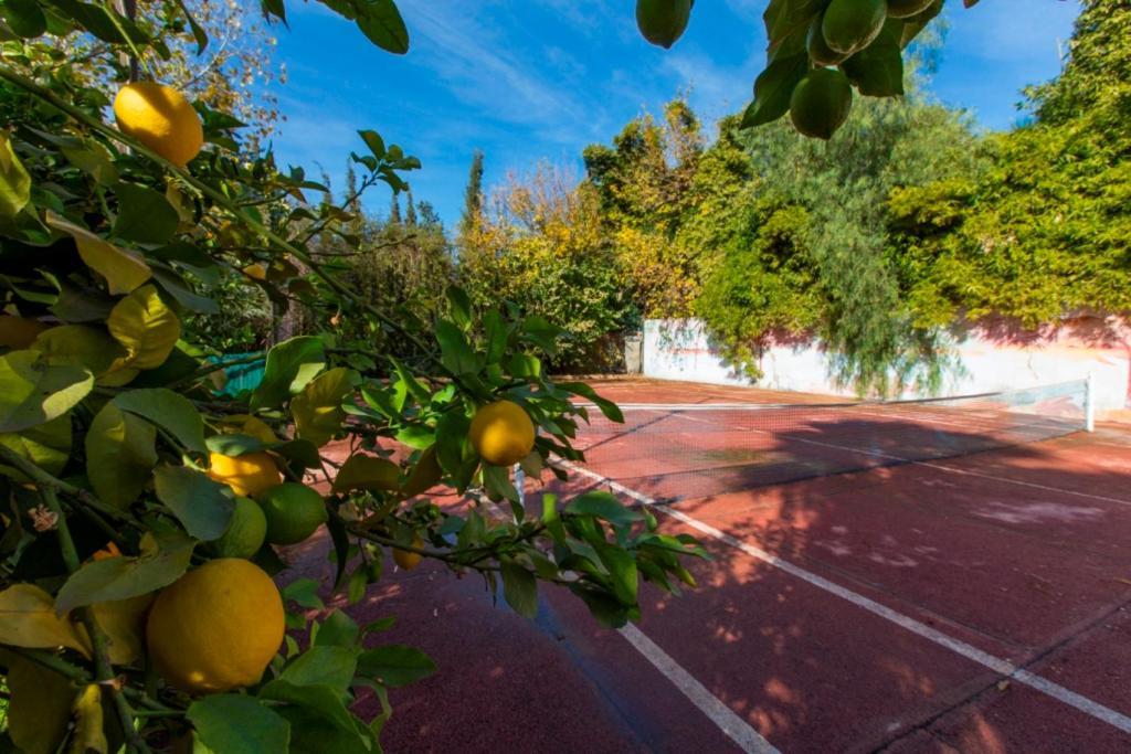Villa Zahra Palmeraie Marrakesz Zewnętrze zdjęcie